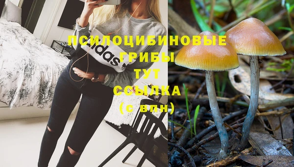 винт Абдулино