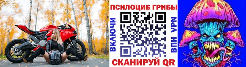 Псилоцибиновые грибы Magic Shrooms  Холмск 