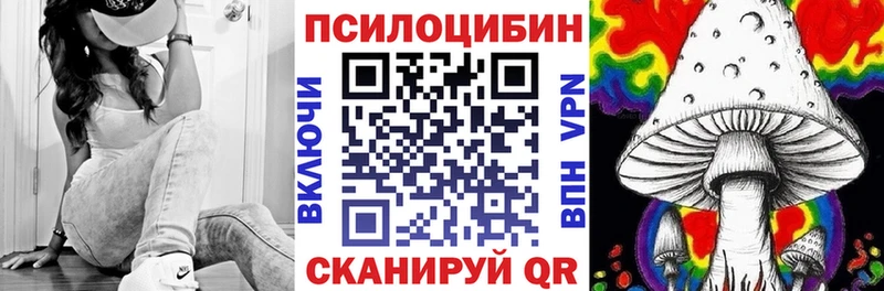 Галлюциногенные грибы Psilocybe Холмск